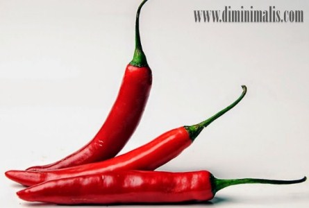 cara mengusir laron, cara mengusir laron dengan alami, cara mengatasi serangan laron 