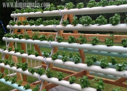 berkebun di lahan sempit, solusi berkebun di lahan sempit, cara berkebun di halaman rumah yang sempit 