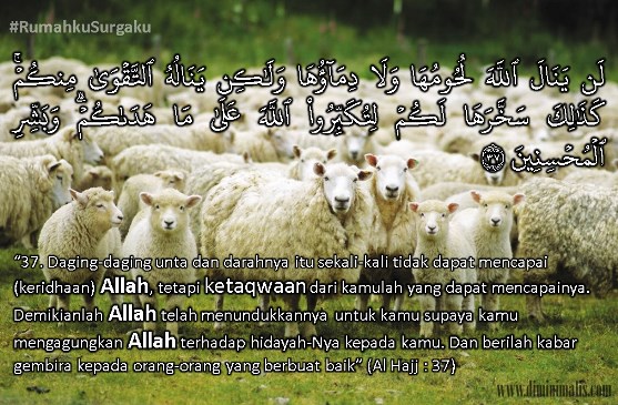 taqwa untuk mardlotillah #rumahkusurgaku - diminimalis