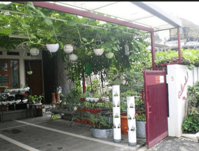 Halaman Depan Rumah Minimalis