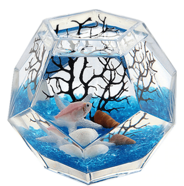 aquarium mini