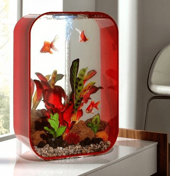 aquarium mini