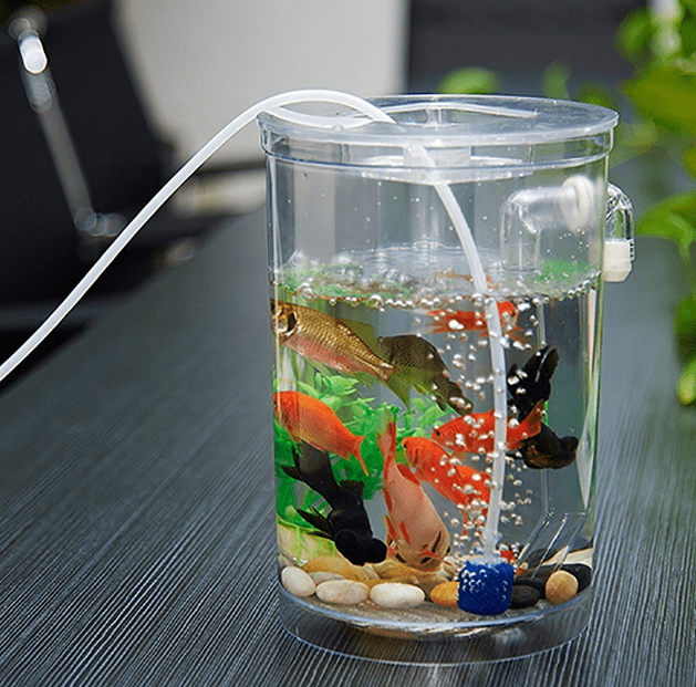 Aquarium Mini di Apartemen